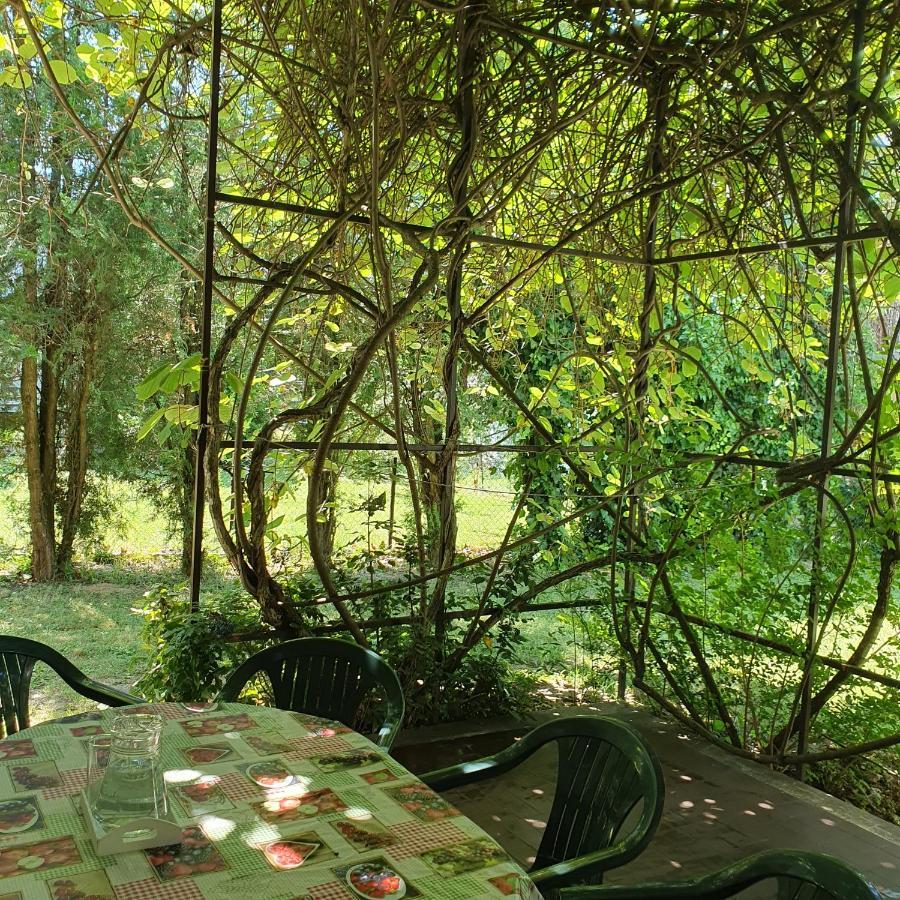 Sophie'S Guesthouse شيوفوك المظهر الخارجي الصورة